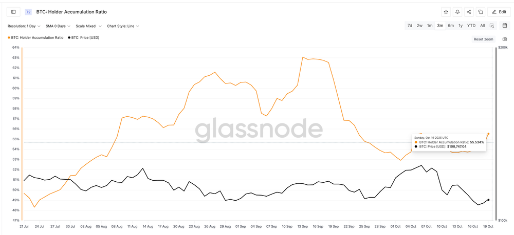 Detentores de BTC ainda acumulando