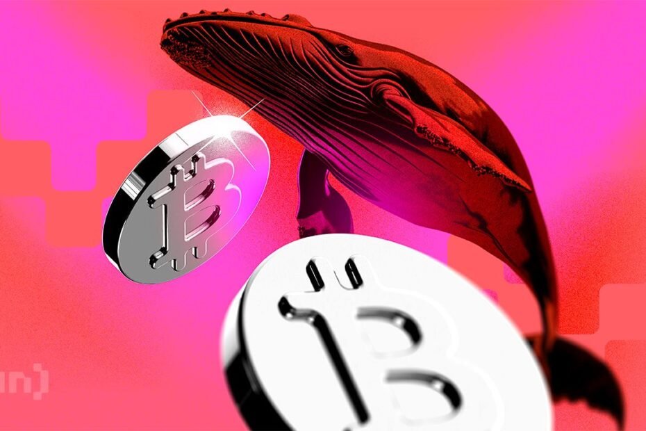 Crypto Market Hints at a Two-Year Post-Thanksgiving Pattern Returning